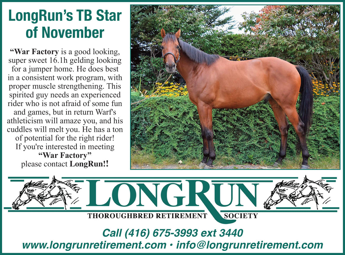 Longrun Thoroughbred Star of the Month