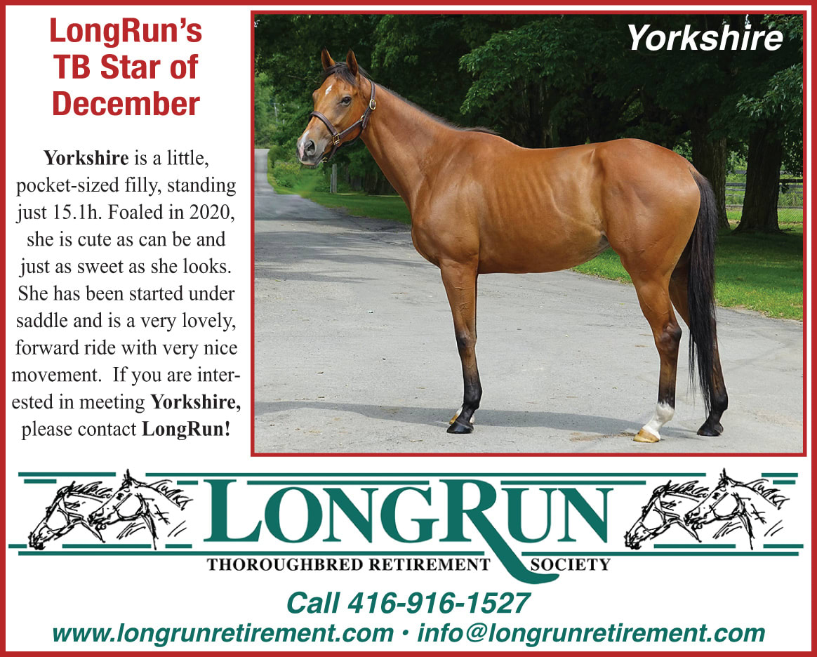 Longrun Thoroughbred Star of the Month