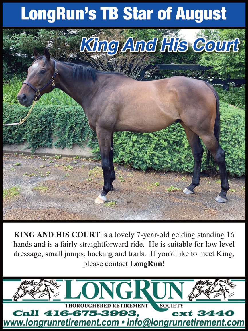Longrun Thoroughbred Star of the Month
