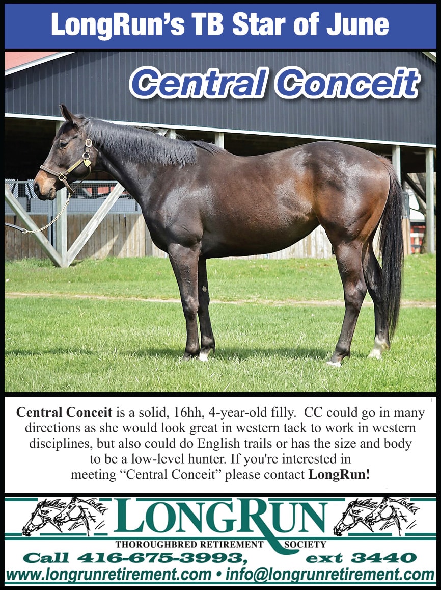 Longrun Thoroughbred Star of the Month