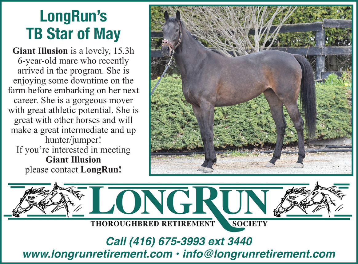 Longrun Thoroughbred Star of the Month