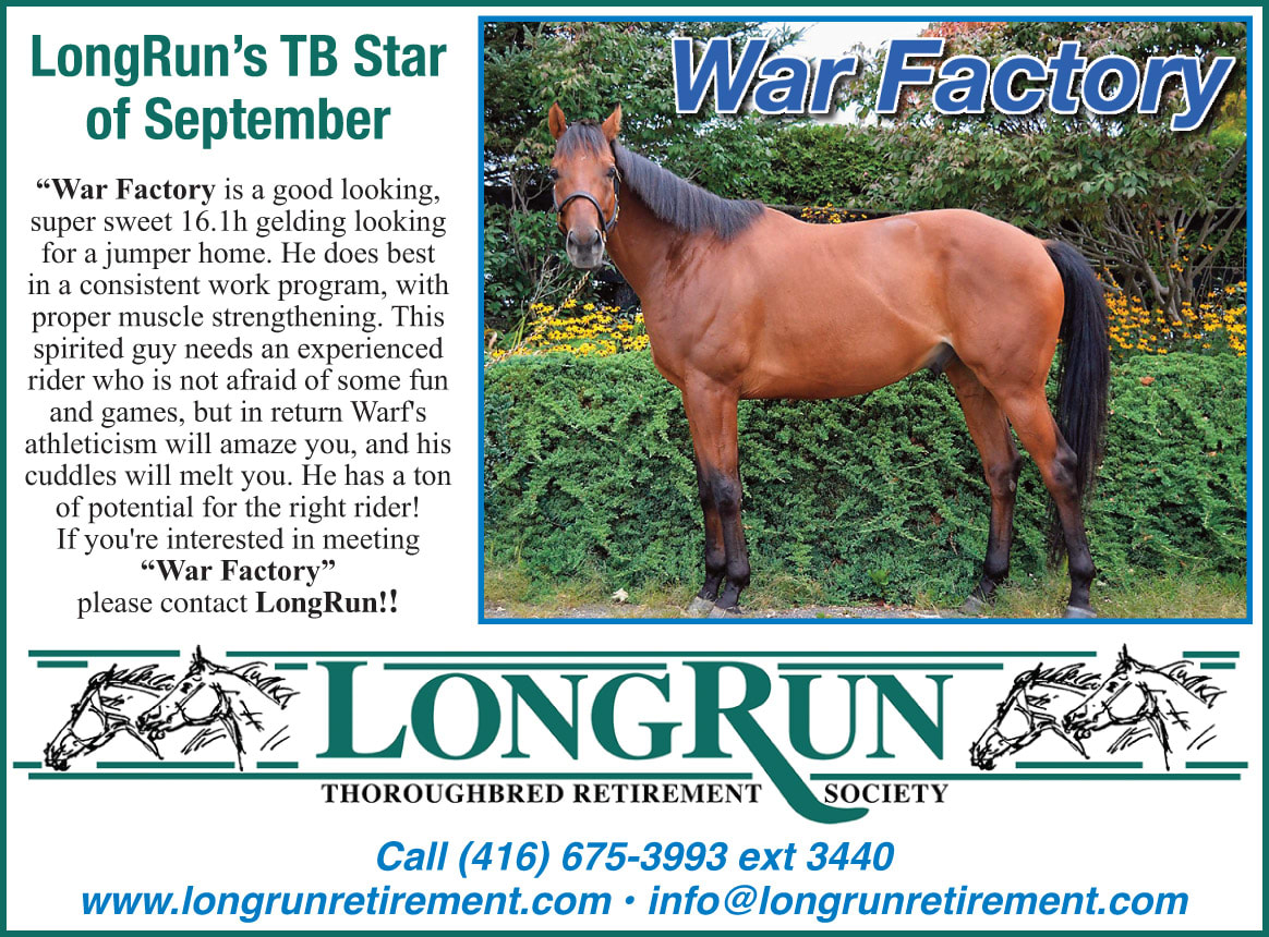 LongRun