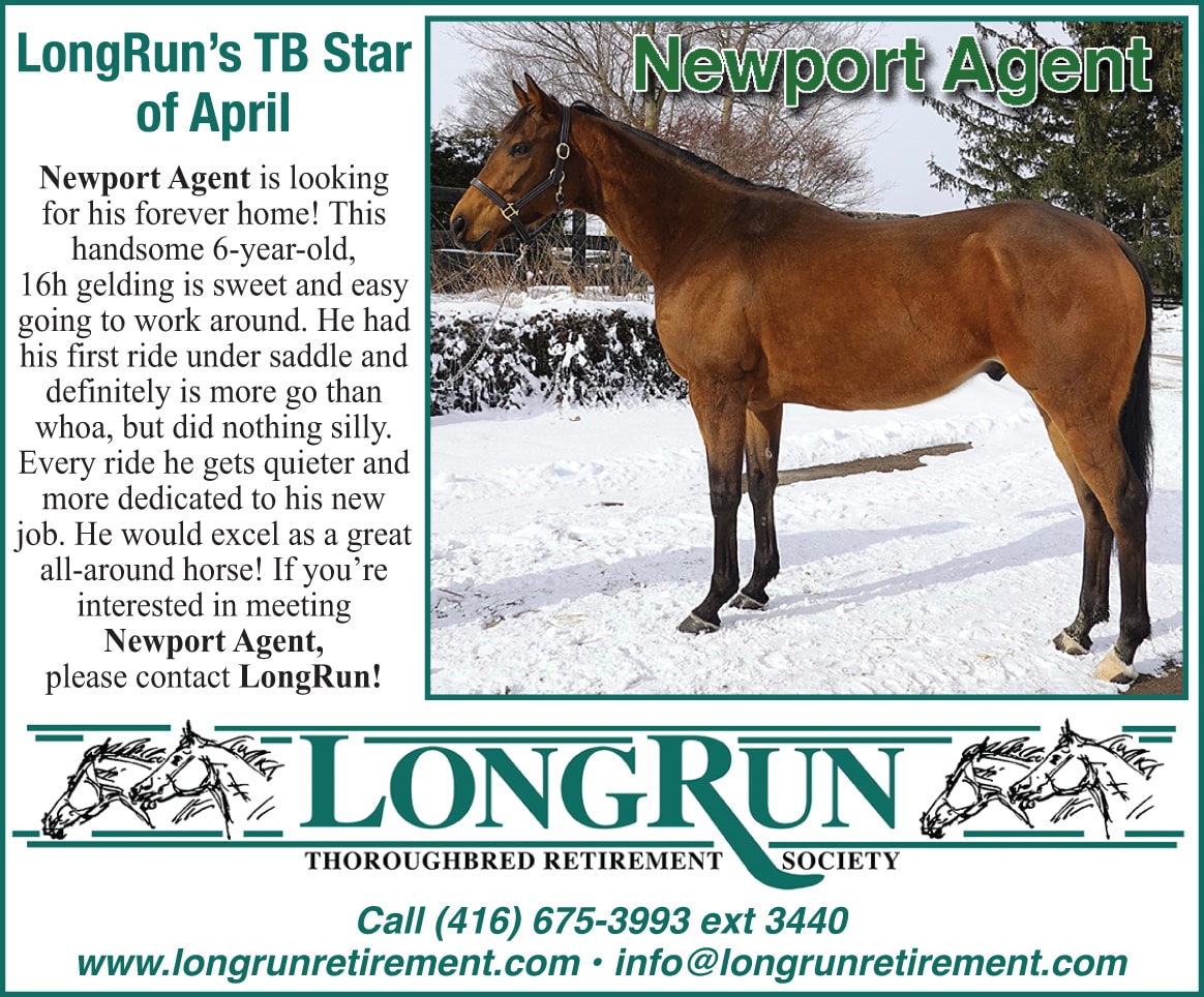 Longrun Thoroughbred Star of the Month