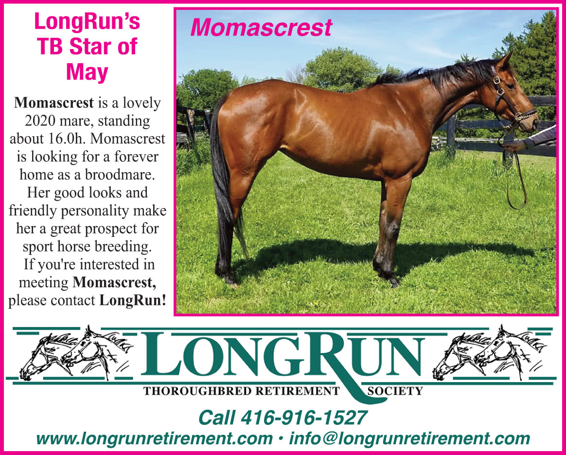 Longrun Thoroughbred Star of the Month