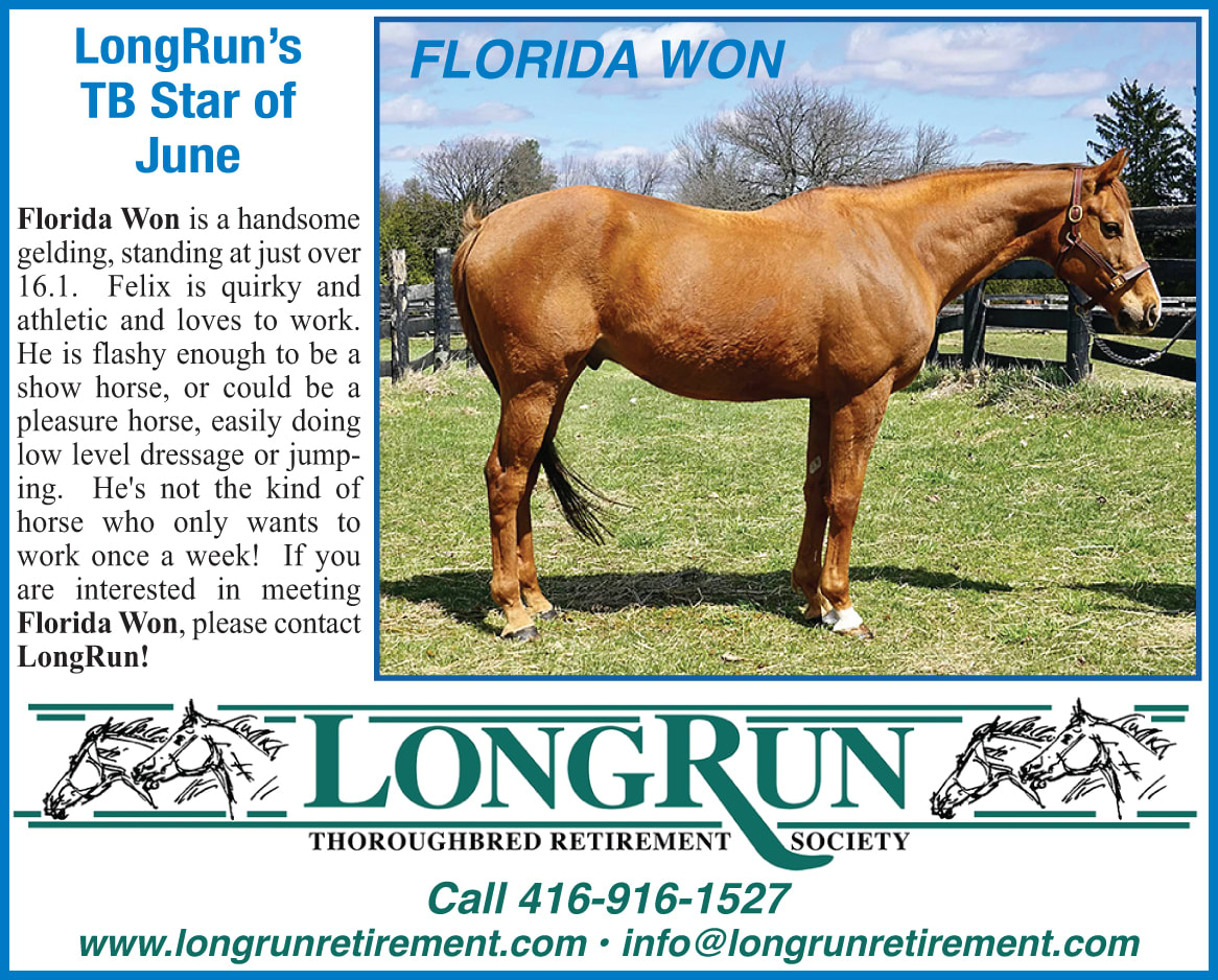 LongRun