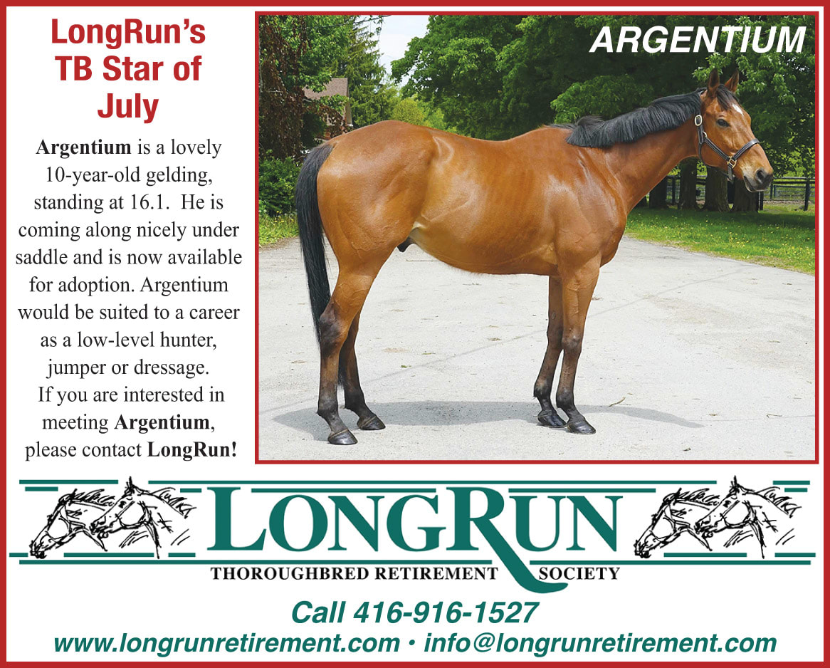 Longrun Thoroughbred Star of the Month