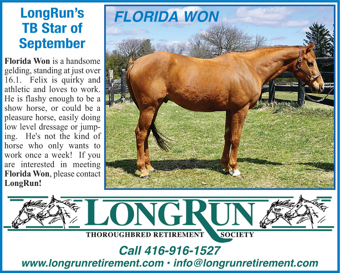 Longrun Thoroughbred Star of the Month