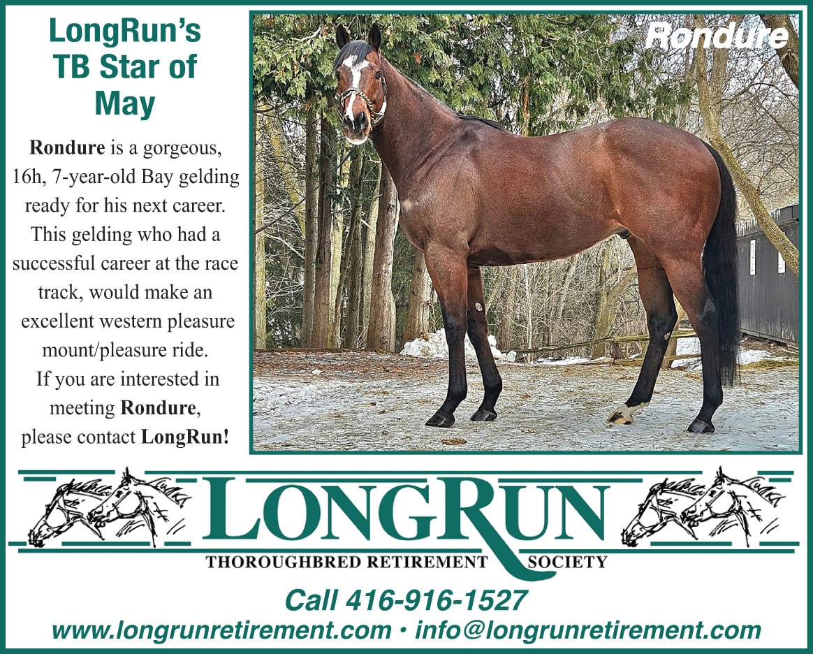 Longrun Thoroughbred Star of the Month