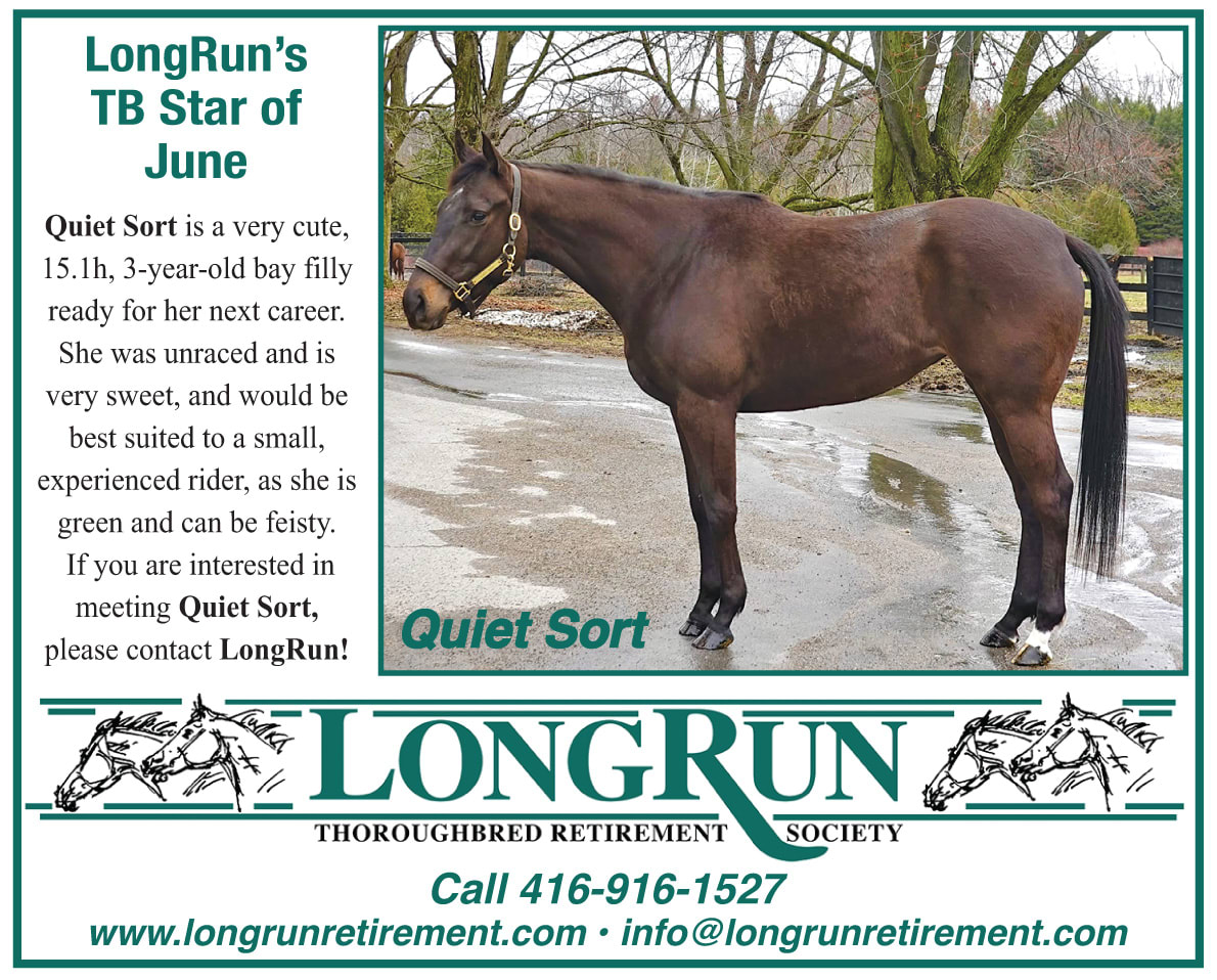 LongRun