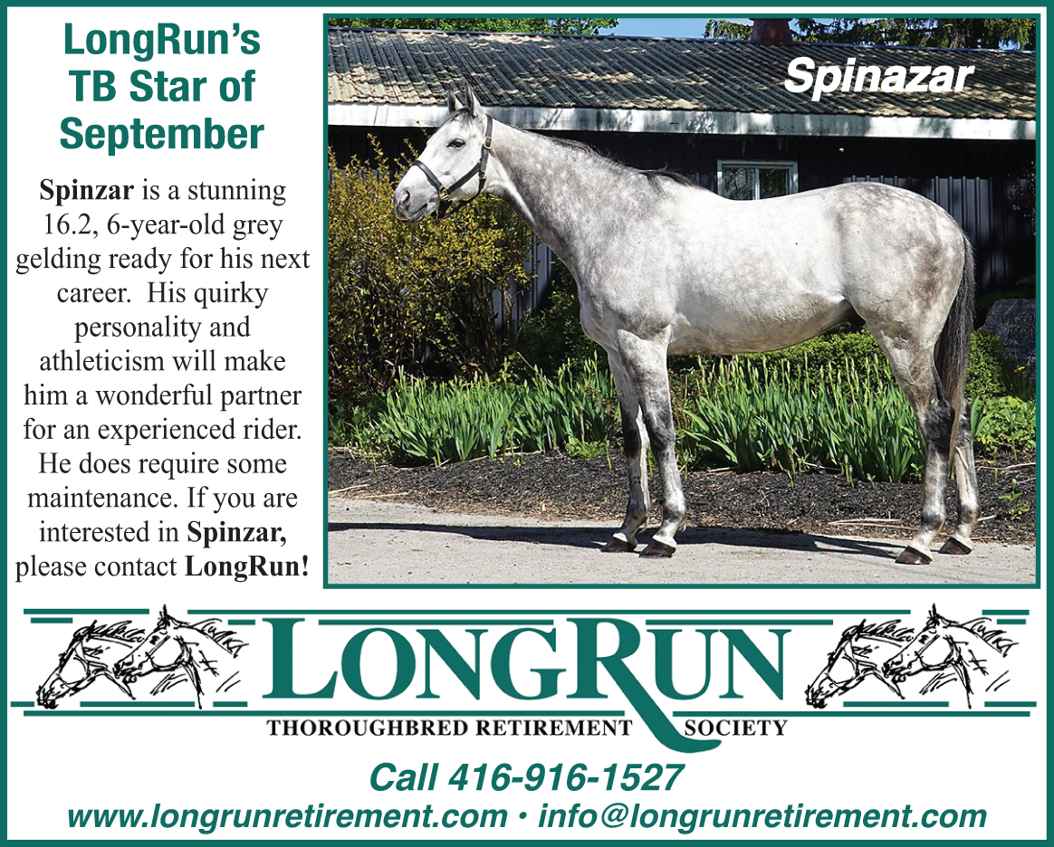LongRun