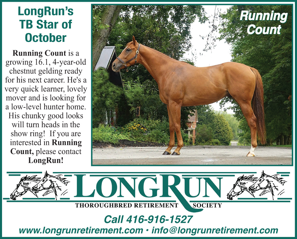LongRun