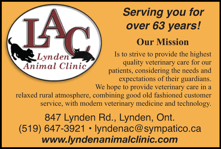 Lynden Animal Clinic
