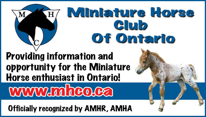 Miniature Horse Club of Ontario