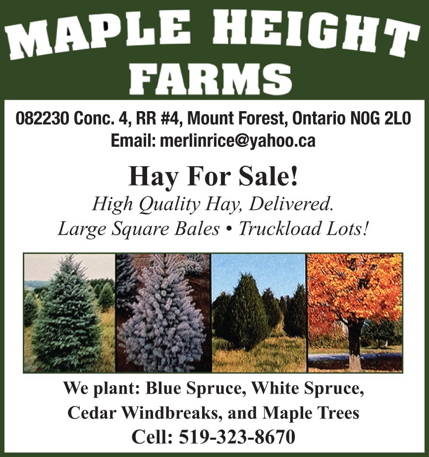 Maple Height Farms