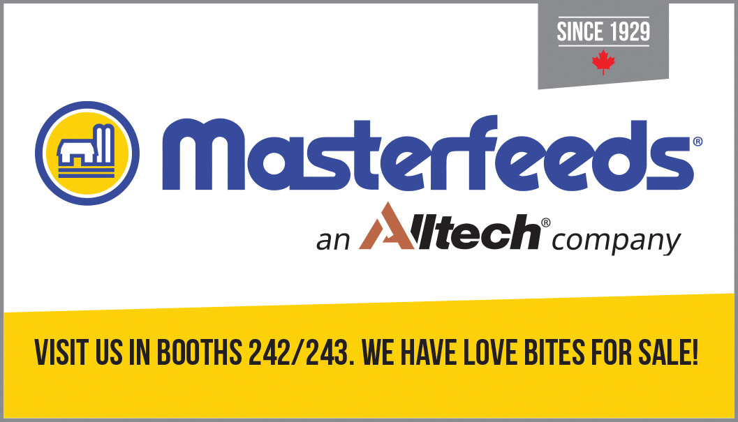 Masterfeeds