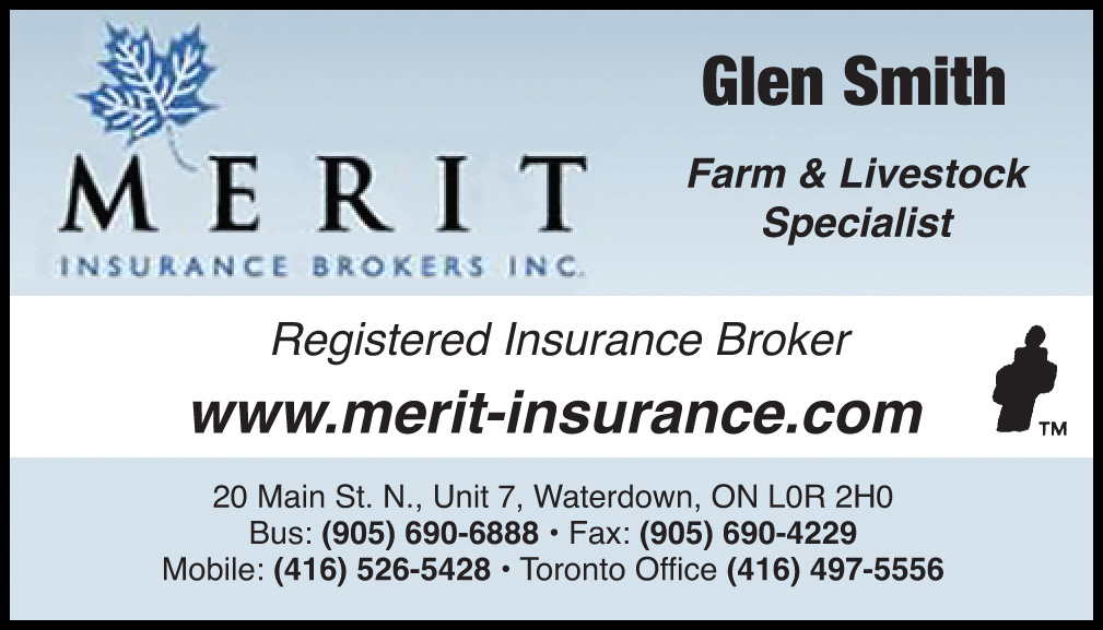 Merit Insurance