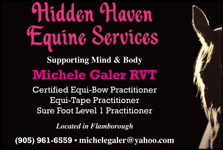 Hidden Haven Equine Services