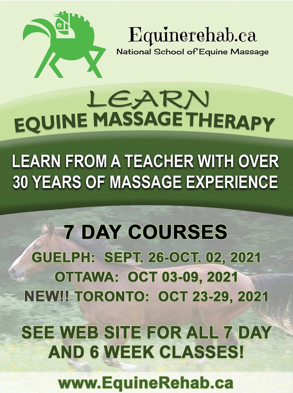 School of Equine Massage & Rehabilitation Therapies