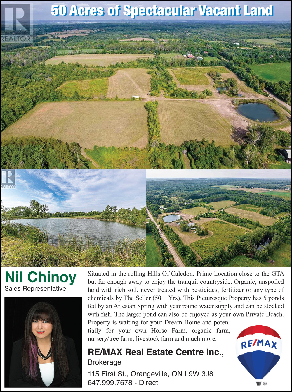 Nil Chinoy - Remax Real Estate