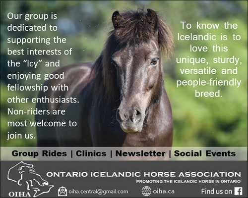 Ontario Icelandic Horse Association