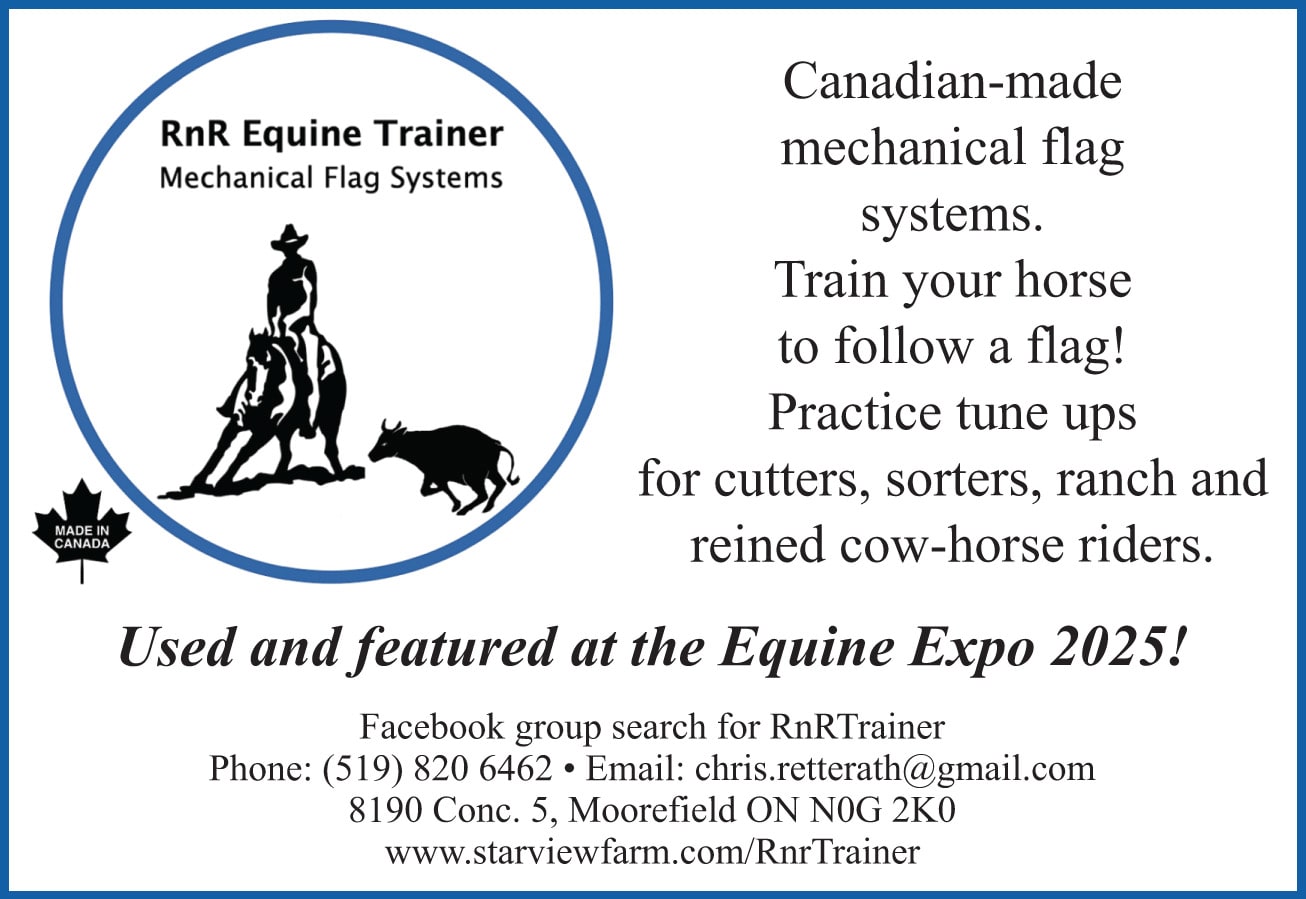 RNR Equine Trainer