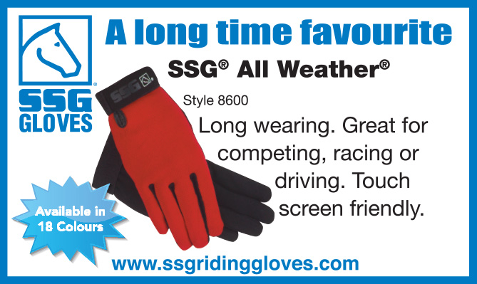 SSG Gloves