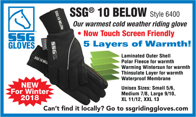SSG Gloves