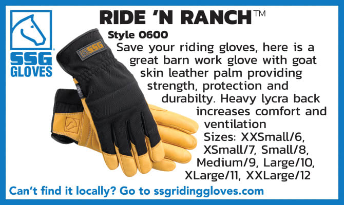 SSG Gloves