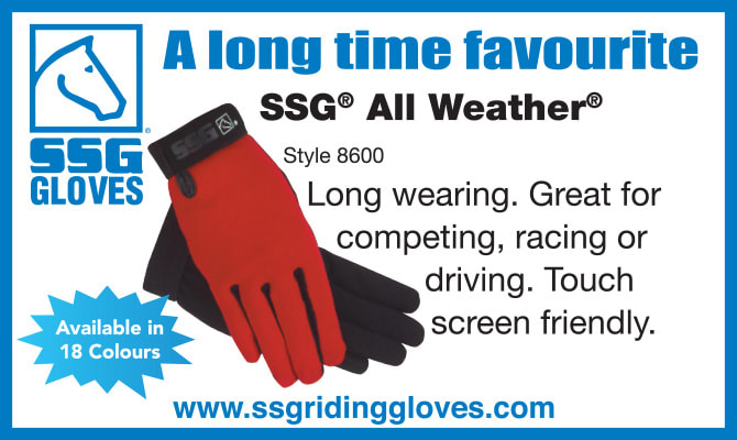 SSG Gloves