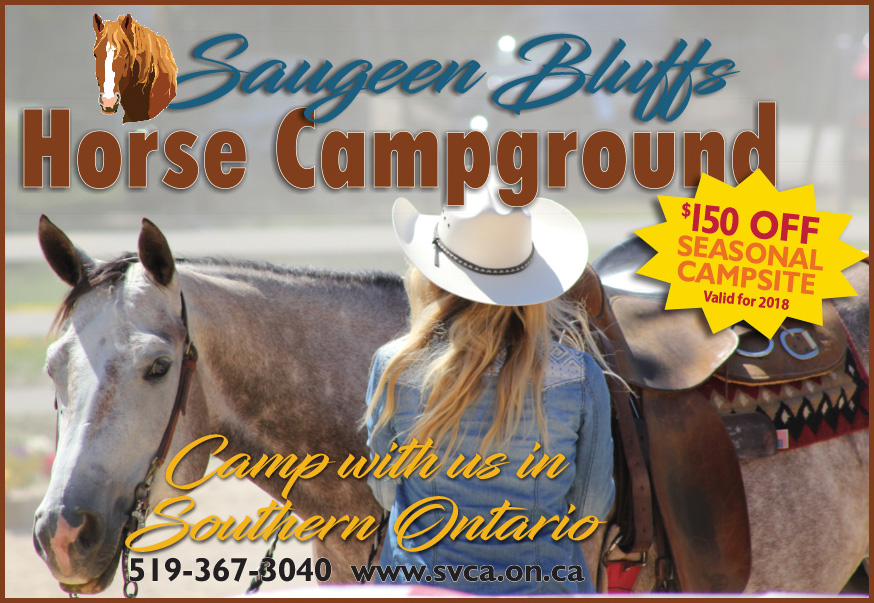 Saugeen Bluffs