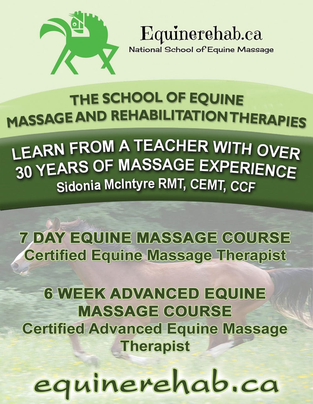 School of Equine Massage & Rehabilitation Therapies
