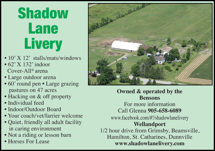 Shadow Lane Livery