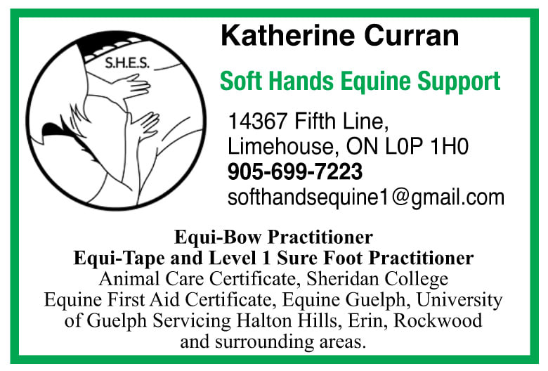 Katherine's Soft Hands Equine Support