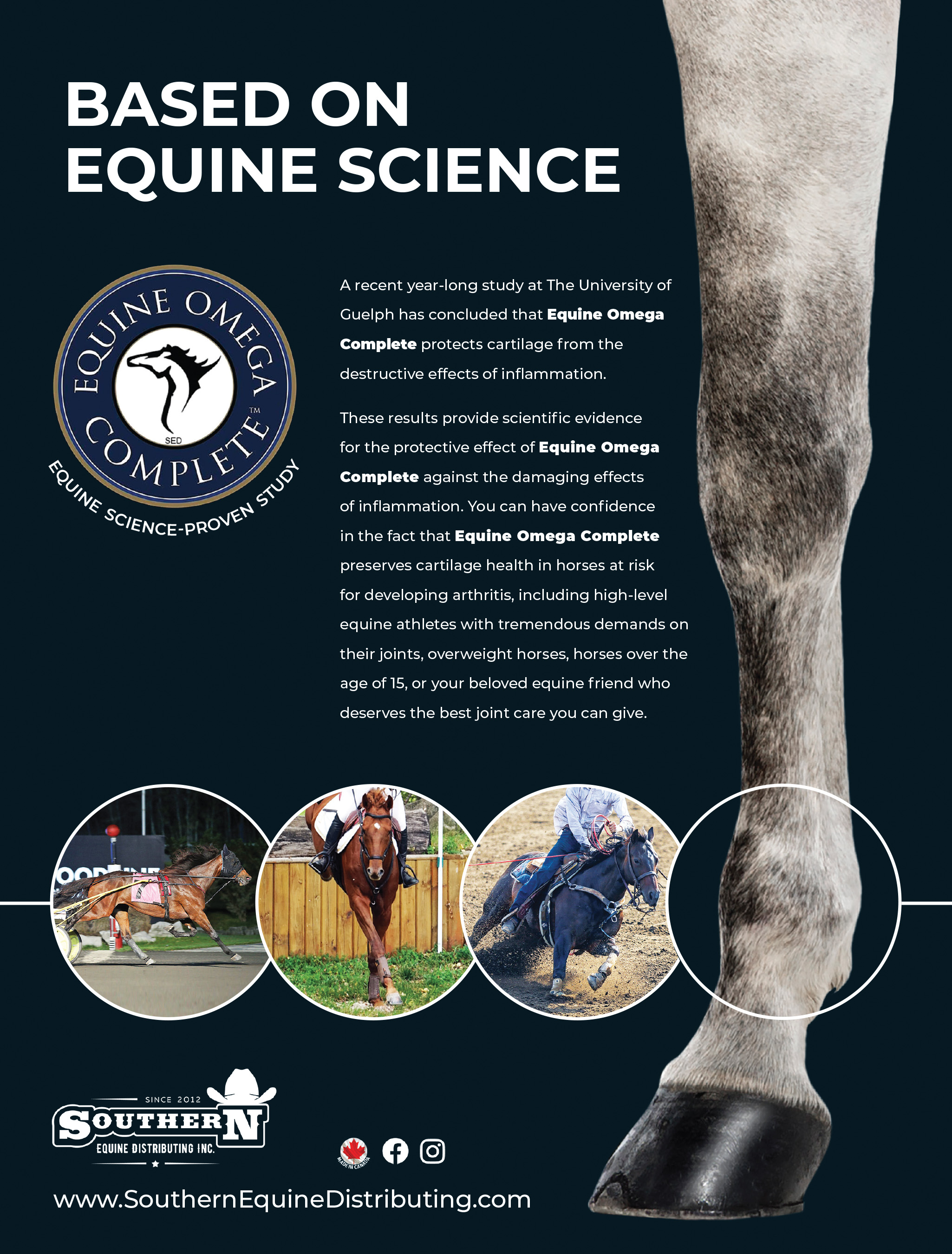 Southern Equine Distributing