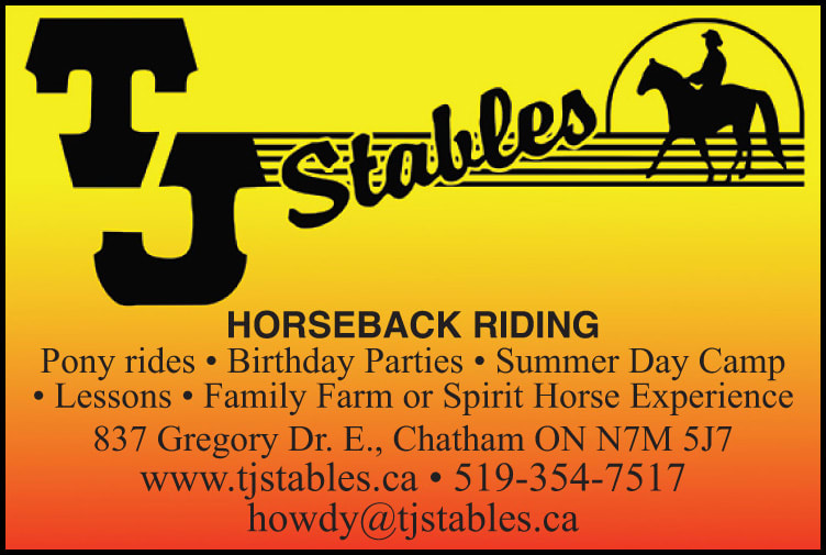 TJ Stables