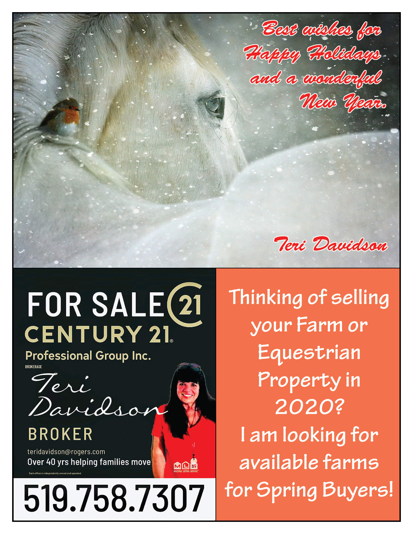 Century 21 Teri Davidson ad
