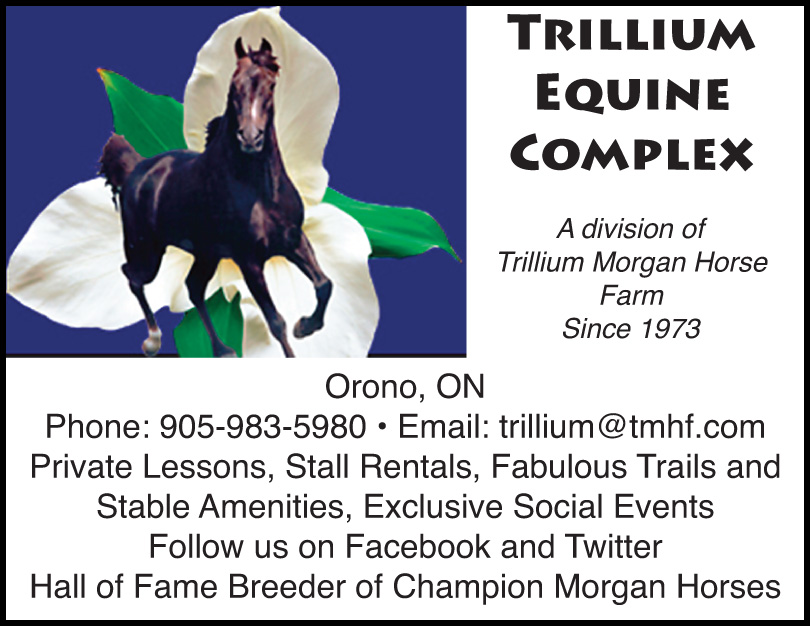 Trillium Equine Complex