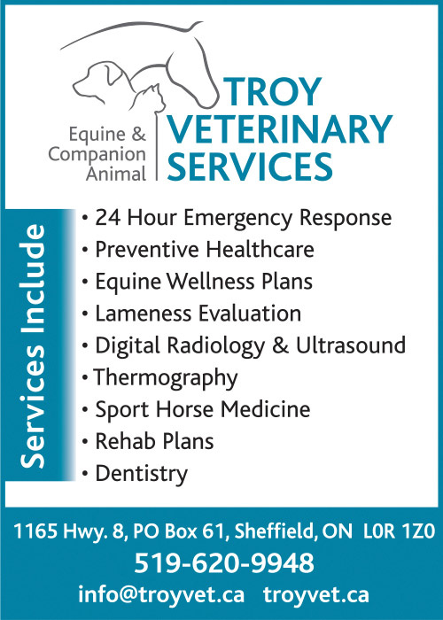 Troy Veterinary Services
