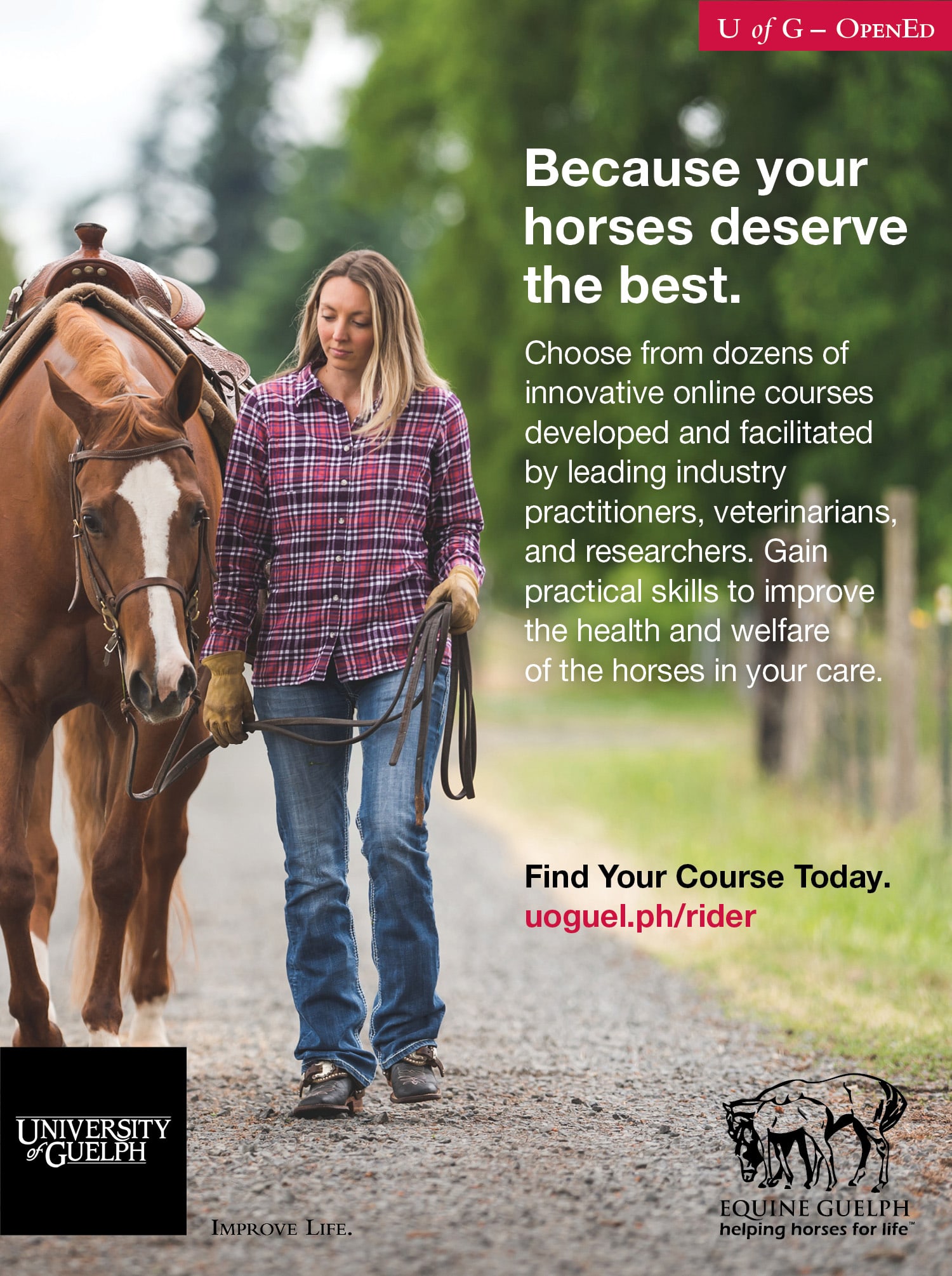 University of Guelph Equine Certificate and Diploma Programs