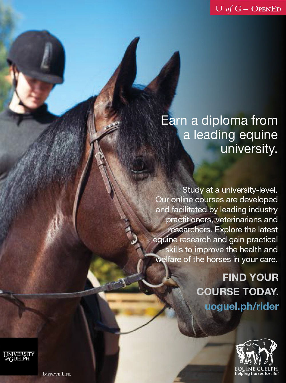 University of Guelph Equine Certificate and Diploma Programs