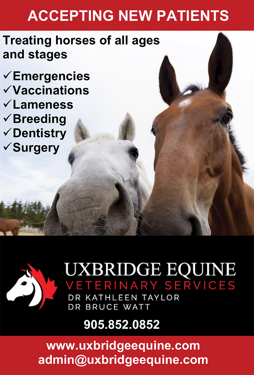 Uxbridge Equine Veterinary Services