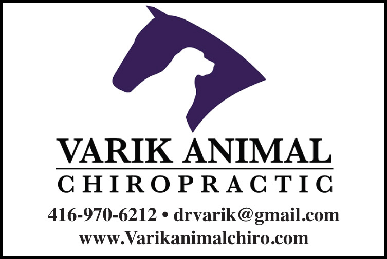 Varik Animal Chiropractic