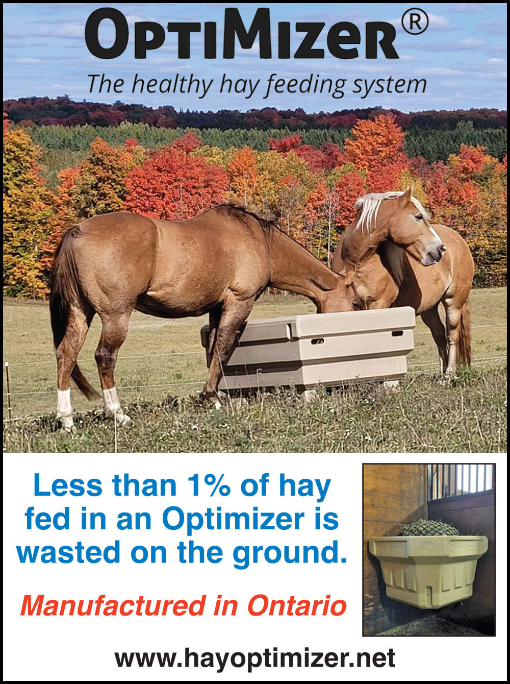 Wishing well services