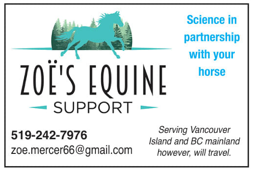 Zoe's Equine Support