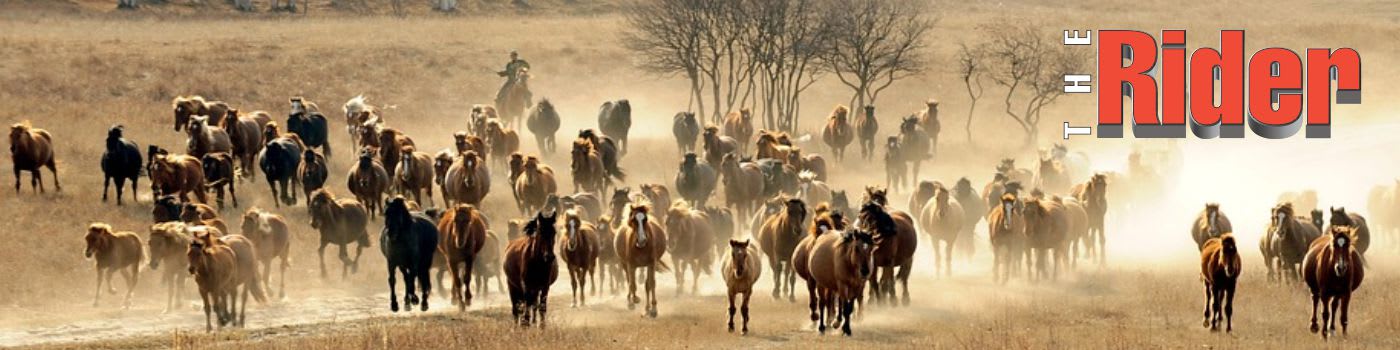 herd of horses running & The Rider logo