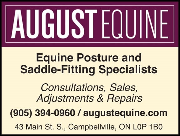 August Equine