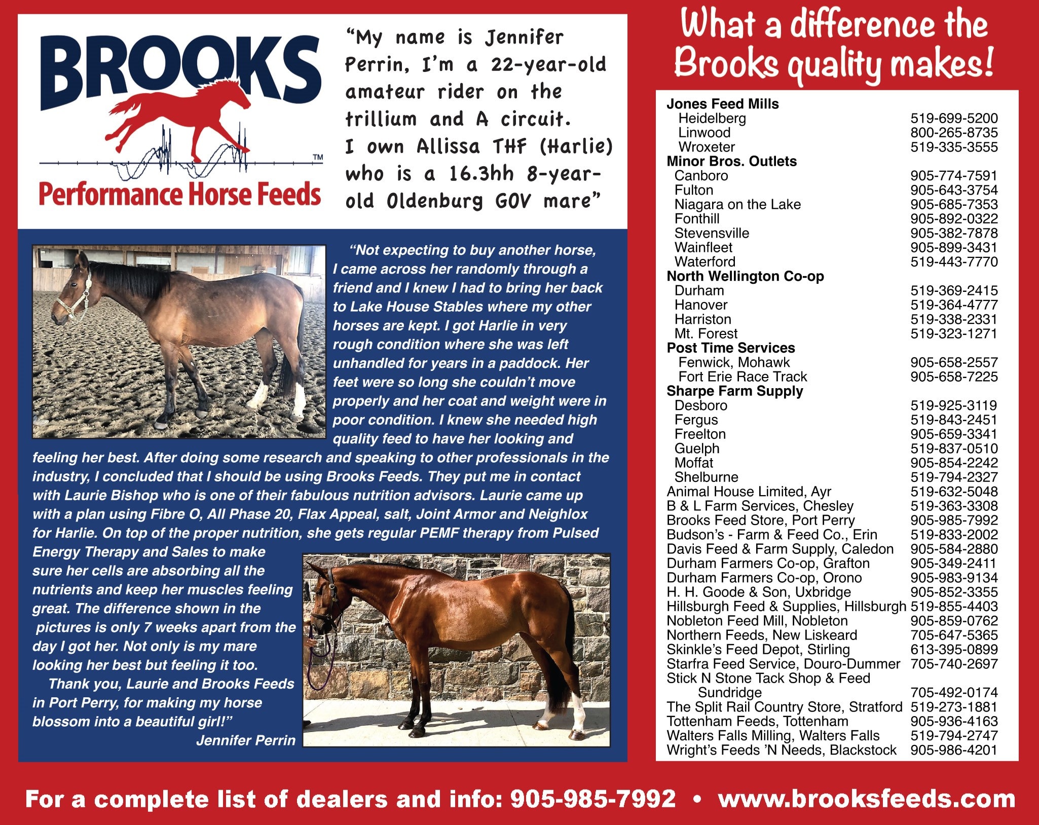 brooks feeds ad