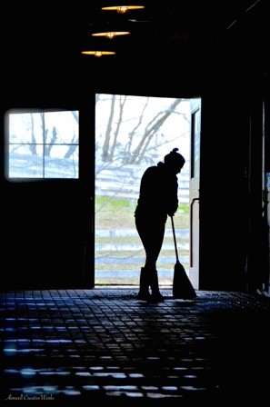 barn maven series - cleaning up