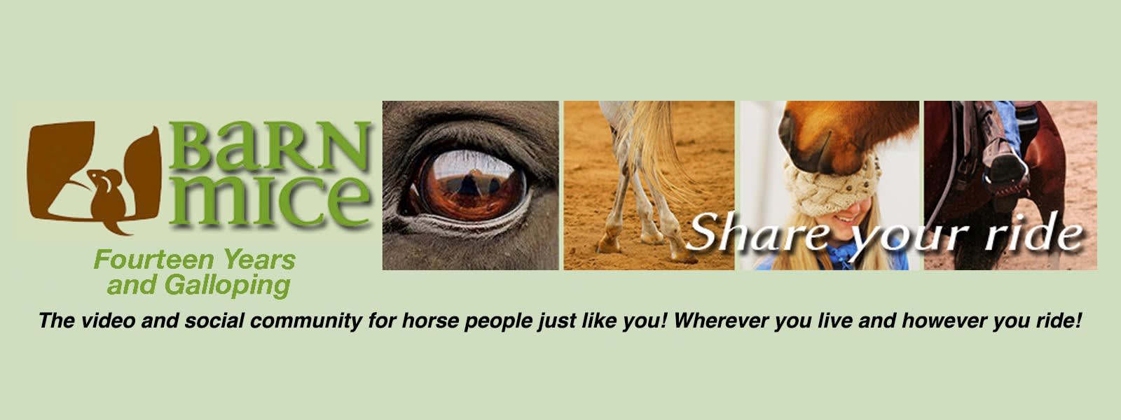 barn mice equestrian community banner
