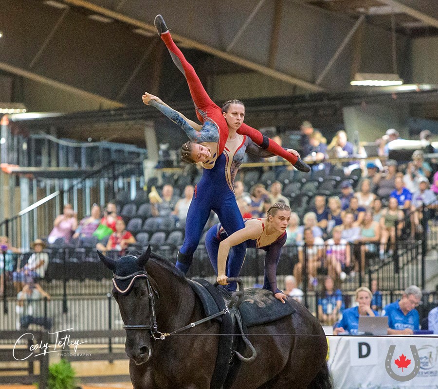 vaulting team